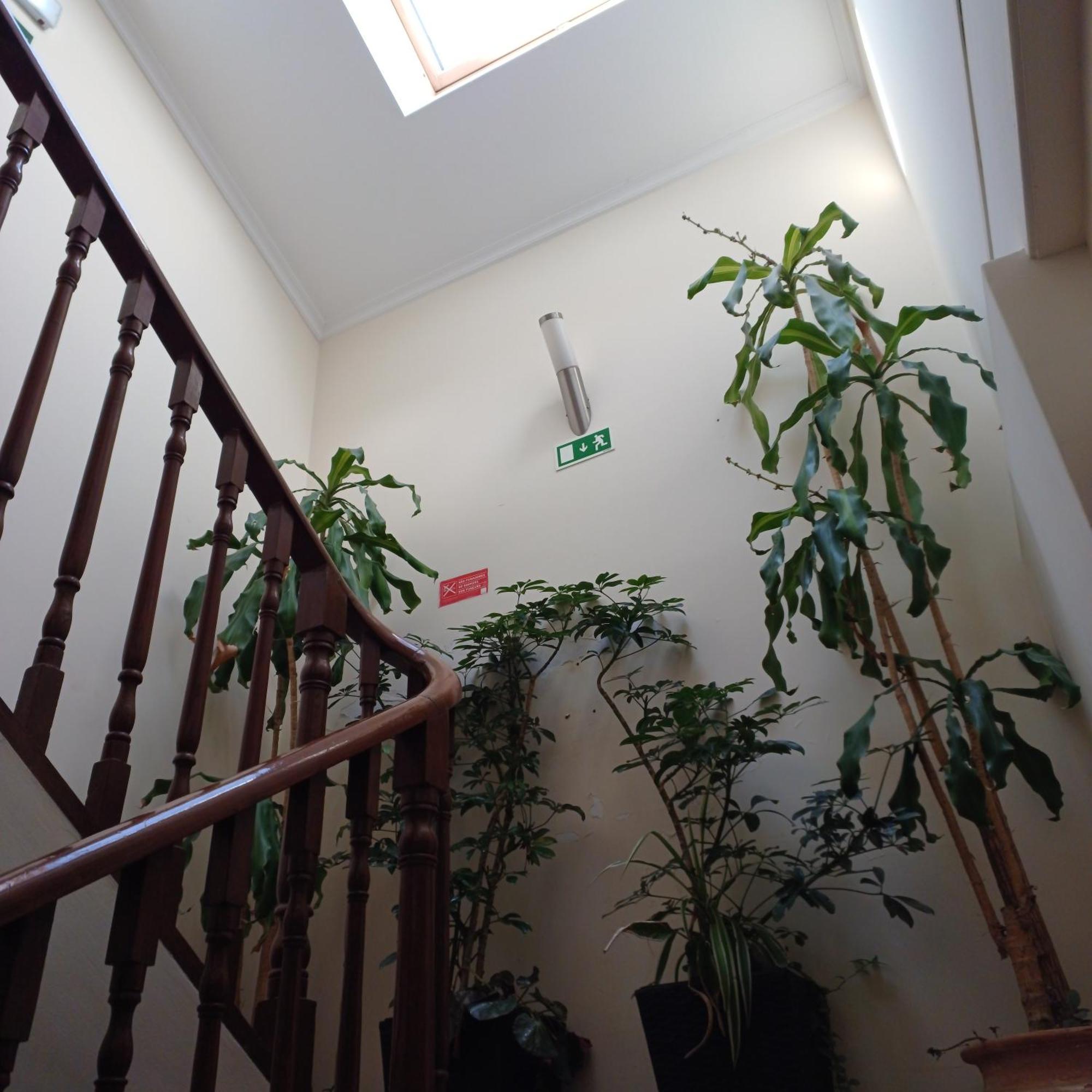 Residencialusobrasileira Hotel Leca da Palmeira Ngoại thất bức ảnh